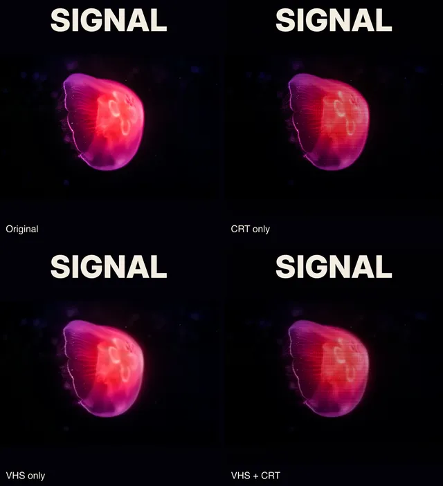 Four SIGNAL covers using the same pink jellyfish photograph, labeled Original, CRT only, VHS only, and VHS + CRT.
