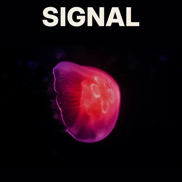The SIGNAL cover with horizontal scanline gaps and a fine phosphor pattern across the pink jellyfish, beneath clean lettering.