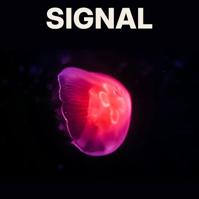 Cream SIGNAL lettering above an untreated pink jellyfish photograph on a dark square cover.