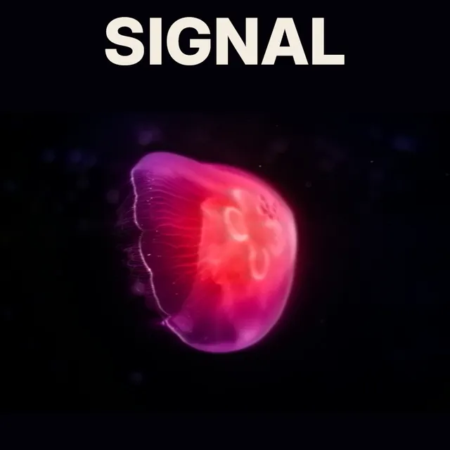 The SIGNAL cover with a softer pink jellyfish and color spreading along its bright right edge, without a scanline pattern.