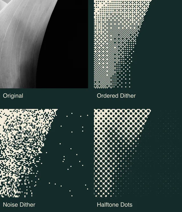 Matching crops of the lily's folded edge: smooth photographic shading, regular square dither marks, irregular scattered squares, and round halftone dots.