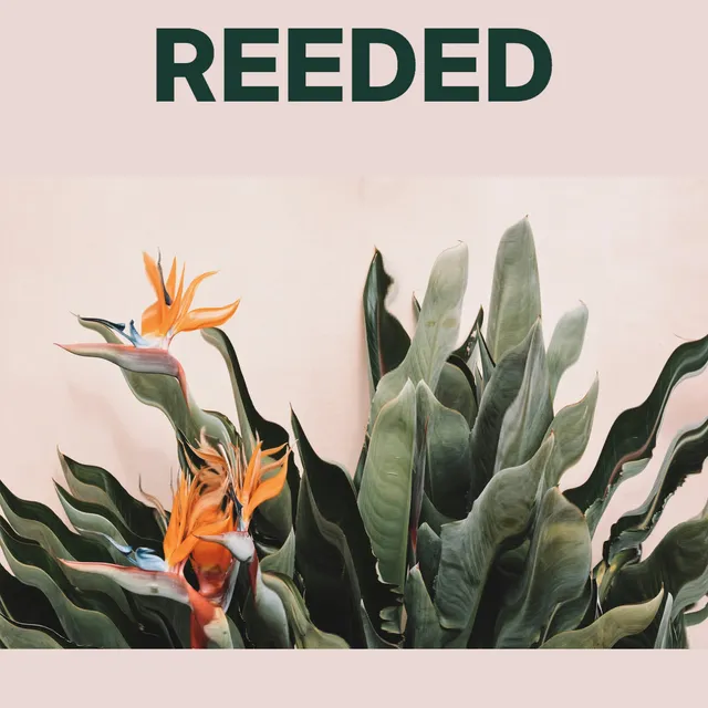Dark green REEDED lettering above orange flowers and green leaves bent into vertical glass-like ribs on a pale pink poster.
