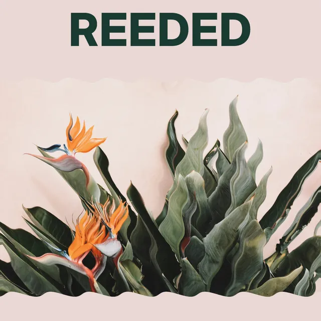 Diagonal glass distortion bends the same flowers and leaves on a slant; the separate REEDED headline remains horizontal.