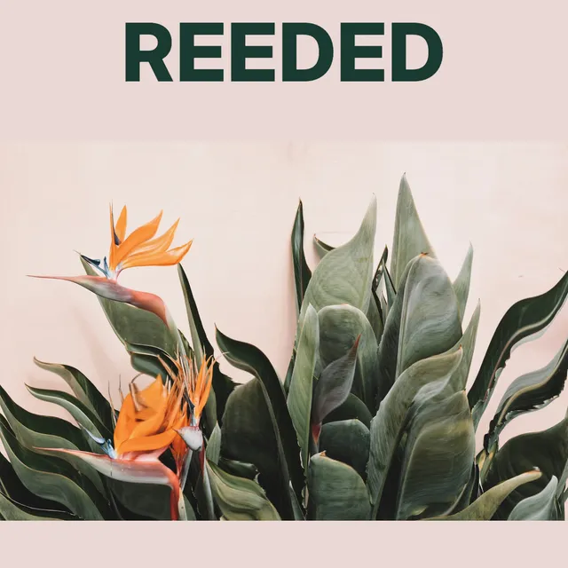 The same poster with wider glass ribs, stretching larger portions of the leaves and the lower orange flower.