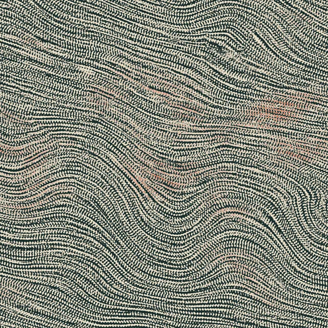 Stream Threads processed image preview