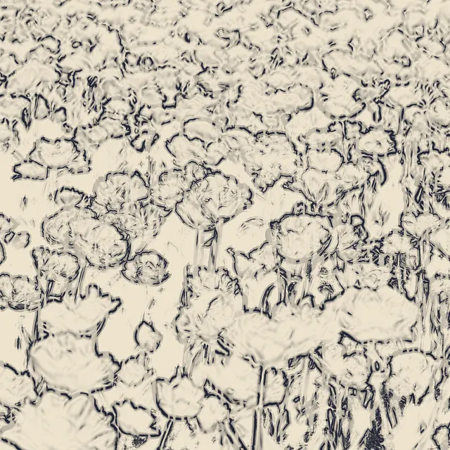 Drypoint processed image preview