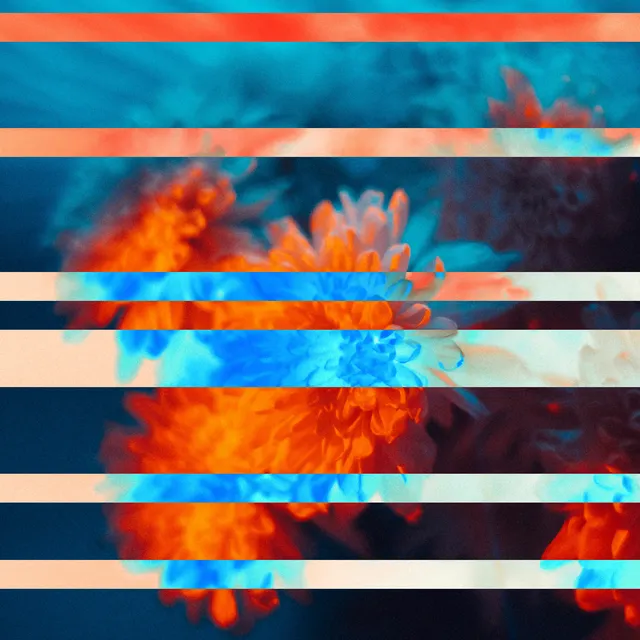Image preview with scattered horizontal bands of inverted color.