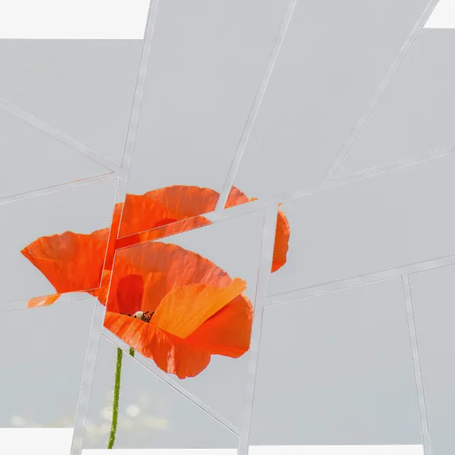 Broken Mirror processed image preview