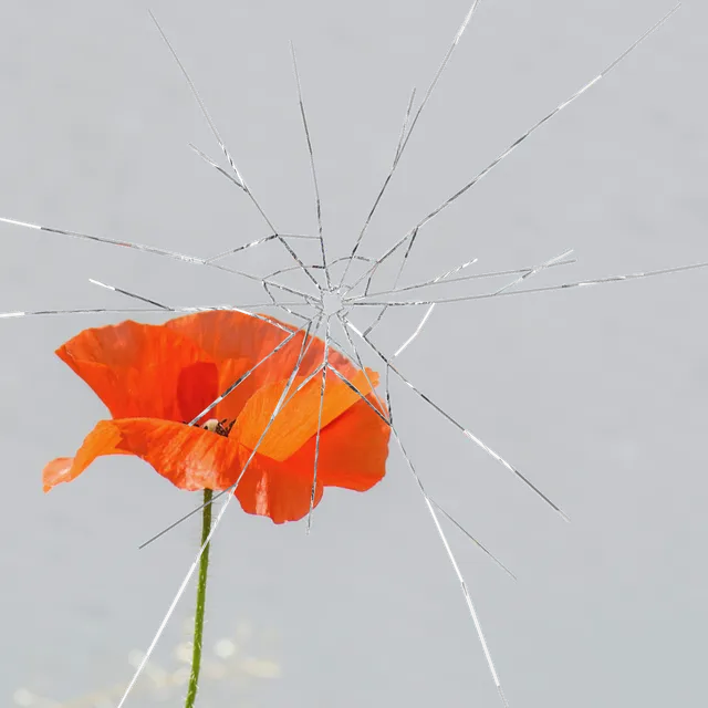 Impact Glass processed image preview