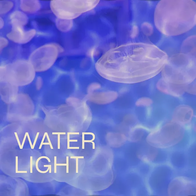 Waterlight collection artwork