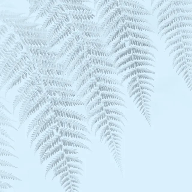 X-Ray processed image preview