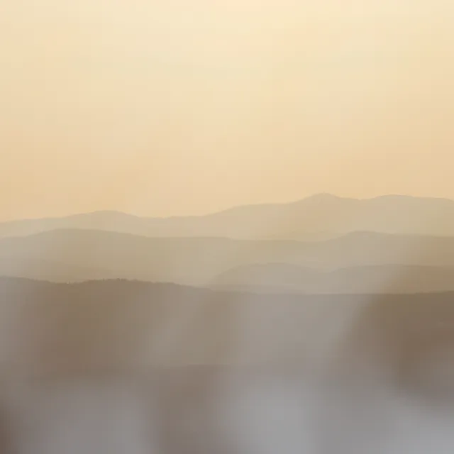 Fog processed image preview