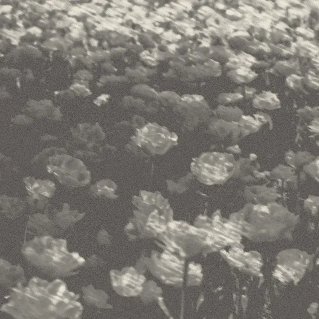 Charcoal processed image preview
