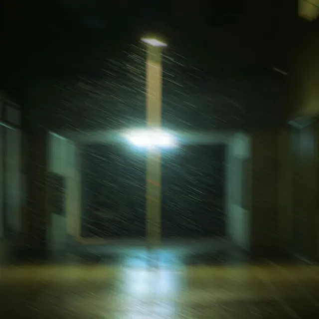 Directional Blur processed image preview