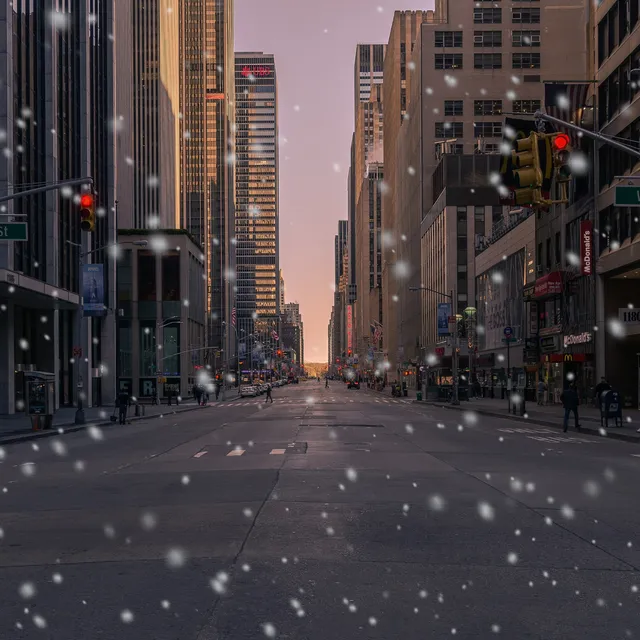 Snow Fall processed image preview