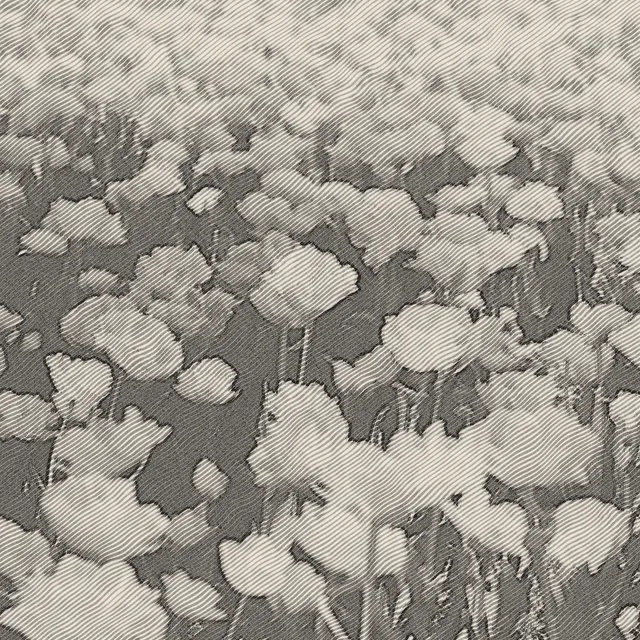 Pencil Sketch processed image preview