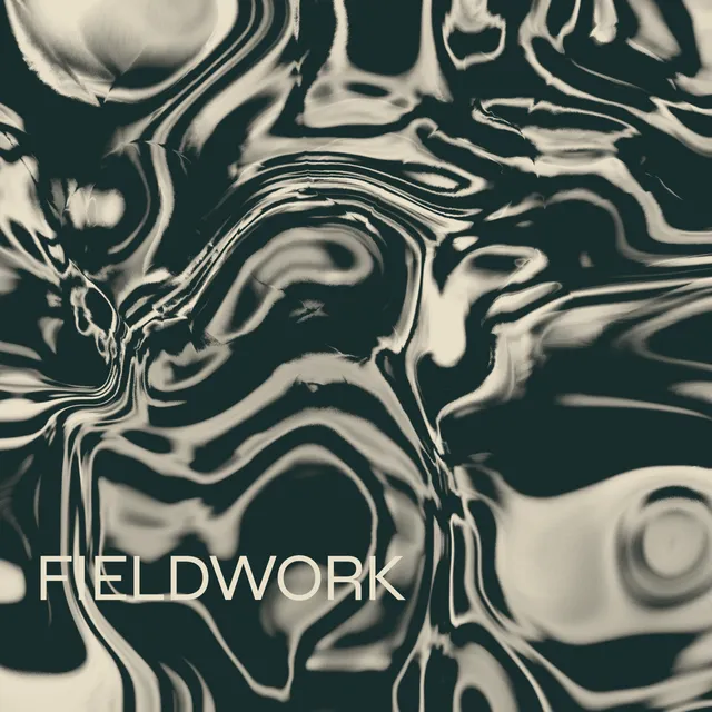Fieldwork collection artwork