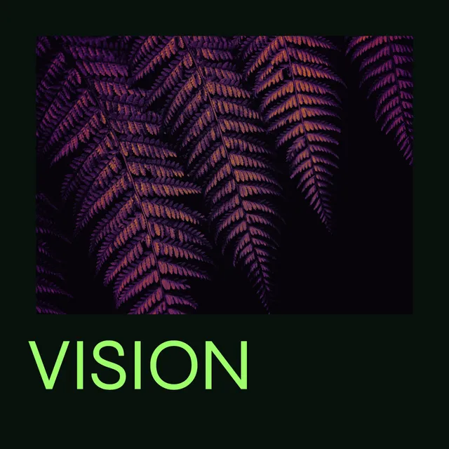 Camera Vision collection artwork