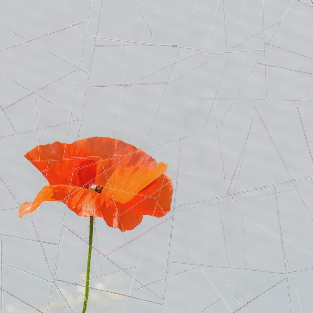 Laminated Glass processed image preview