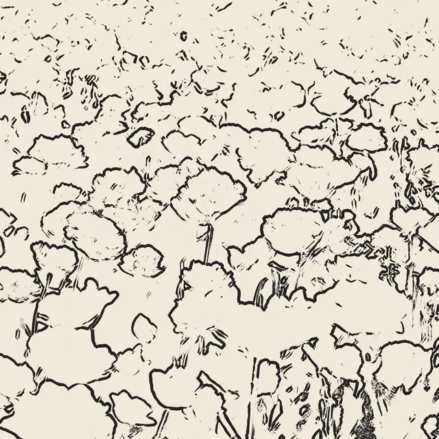 Ink Outline processed image preview