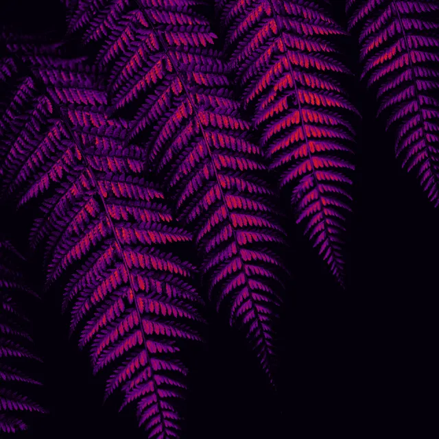 Thermal processed image preview