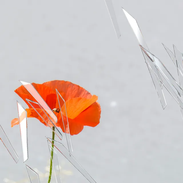 Glass Splinters processed image preview