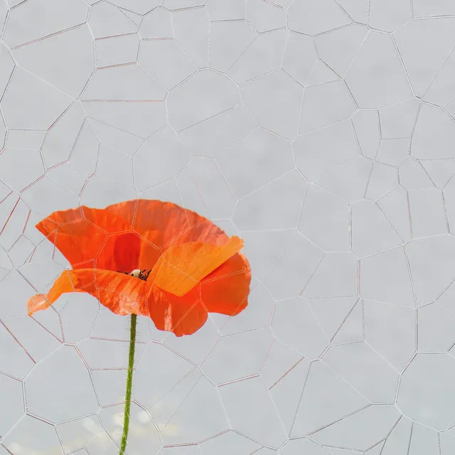 Tempered Glass processed image preview