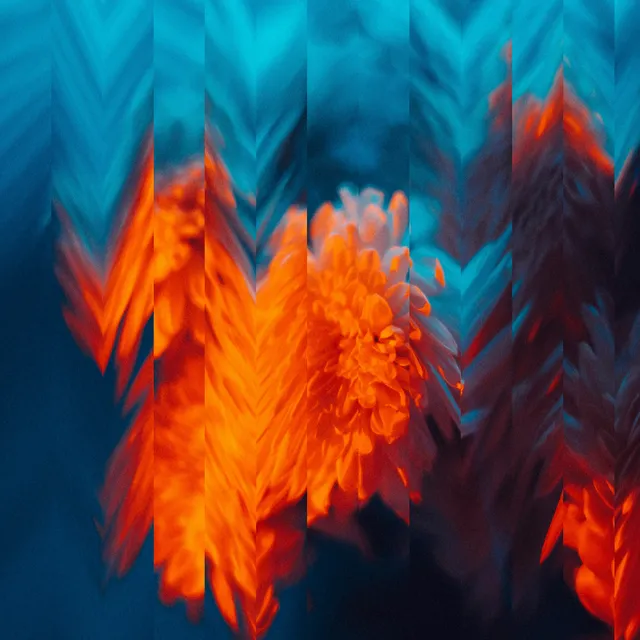 Image preview with vertical strips leaning by different amounts.