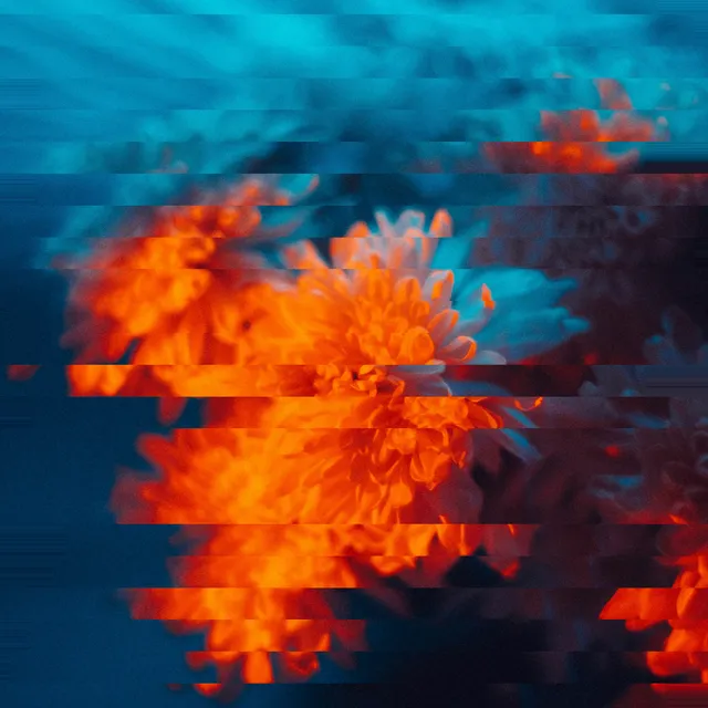 Image preview interrupted by sideways-displaced horizontal bands.
