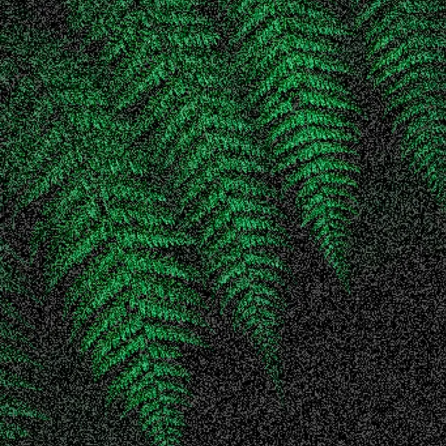 Photon Noise processed image preview