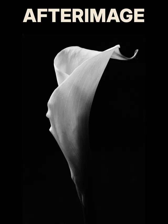 AFTERIMAGE above the untreated monochrome calla-lily photograph on black.